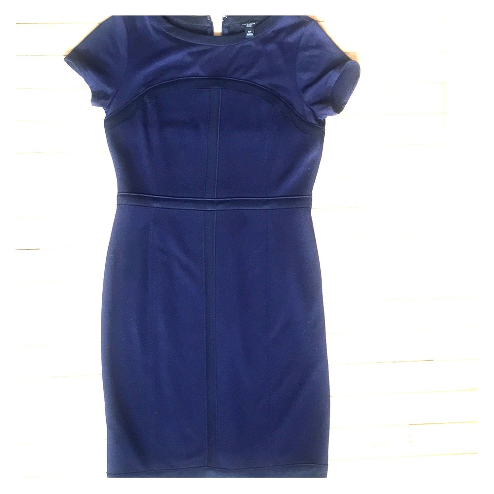 Ann Taylor Blue fitted dress (Size 4P)